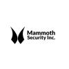 Mammoth Security Inc. New Haven - New Haven, CT Business Directory