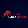 Best Forex Brokers Review - Sydney Business Directory