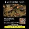 Combs Bee Farm
