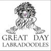 Great Day Labradoodles - Salem, Oregon Business Directory