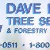 Dave Lund Tree Service and Forestry Co Ltd.