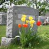 Carter Funeral Home - Denbigh Chapel - Newport News Business Directory