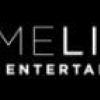 Lime Lights Entertainment