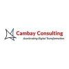 Cambay Consulting - 1838 Snake River Road Business Directory