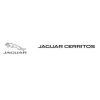 Envision Jaguar - Cerritos Business Directory