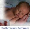 Earthly Angels Surrogacy - Mathiston Business Directory