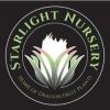 Starlight Nursery/Starlight Orchard LLC