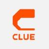 Clue Insights Inc