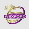 Wexford Fencing Landscaping & Groundwork - Enniscorthy Business Directory