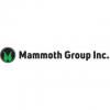 The Mammoth Group - West Hartford, CT Business Directory