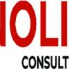 Nolij Consulting LLC