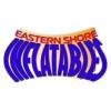 Eastern Shore Inflatables