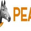Peak Horse - Wexford Business Directory