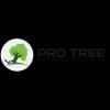 Pro Tree Removal Adelaide - Adelaide, SA Business Directory