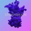 Storm Brain - San Diego Business Directory