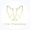 Elite Frenchies - Chicago Business Directory