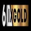 6IX Gold - 339 E 10th Dr Business Directory