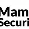 Mammoth Security Inc. New Haven - New Haven, CT Business Directory