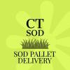 CT SOD - Milford, CT Business Directory