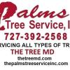The Palms Tree Service, Inc. - Saint Petersburg, FL Business Directory