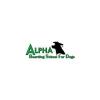 Alpha Boarding School For Dogs