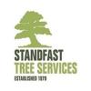 Standfast Tree Services - Newport Business Directory