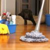 Go Go Cleaning - Bristol Business Directory