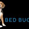 Eco Earth Bed Bug Dogs - New York Business Directory