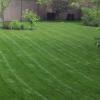 Cougarstone Lawn Care - Calgary Business Directory