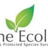 Hone Ecology Ltd - Ashford Business Directory