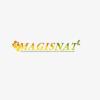 MAGISNAT - PEACHTREE CORNERS Business Directory