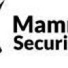 Mammoth Security Inc. Norwalk - Norwalk / CT Business Directory