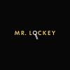 mr. lockey inc - locksmith austin - Austin Business Directory