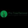 Tree Services Mornington Peninsula