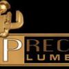 Precise Plumbing & Drain Services - Mississauga Business Directory