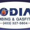 Kodiak Plumbing & Gasfitting Ltd. - Lethbridge Business Directory